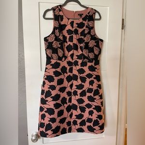 Ann Taylor dress